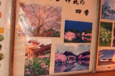 So sieht es aus, wenn dann wirklich mal die Kirsche Blüt: Garten des Heian-Jingu