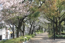 Promenade of Peace Hiroshima